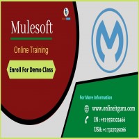 Mulesoft Training in Hyderabad 